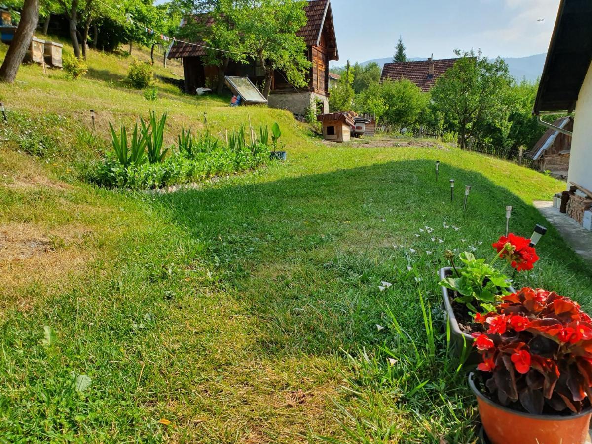 Bed and Breakfast Apartman Draga Мокра Гора Екстер'єр фото